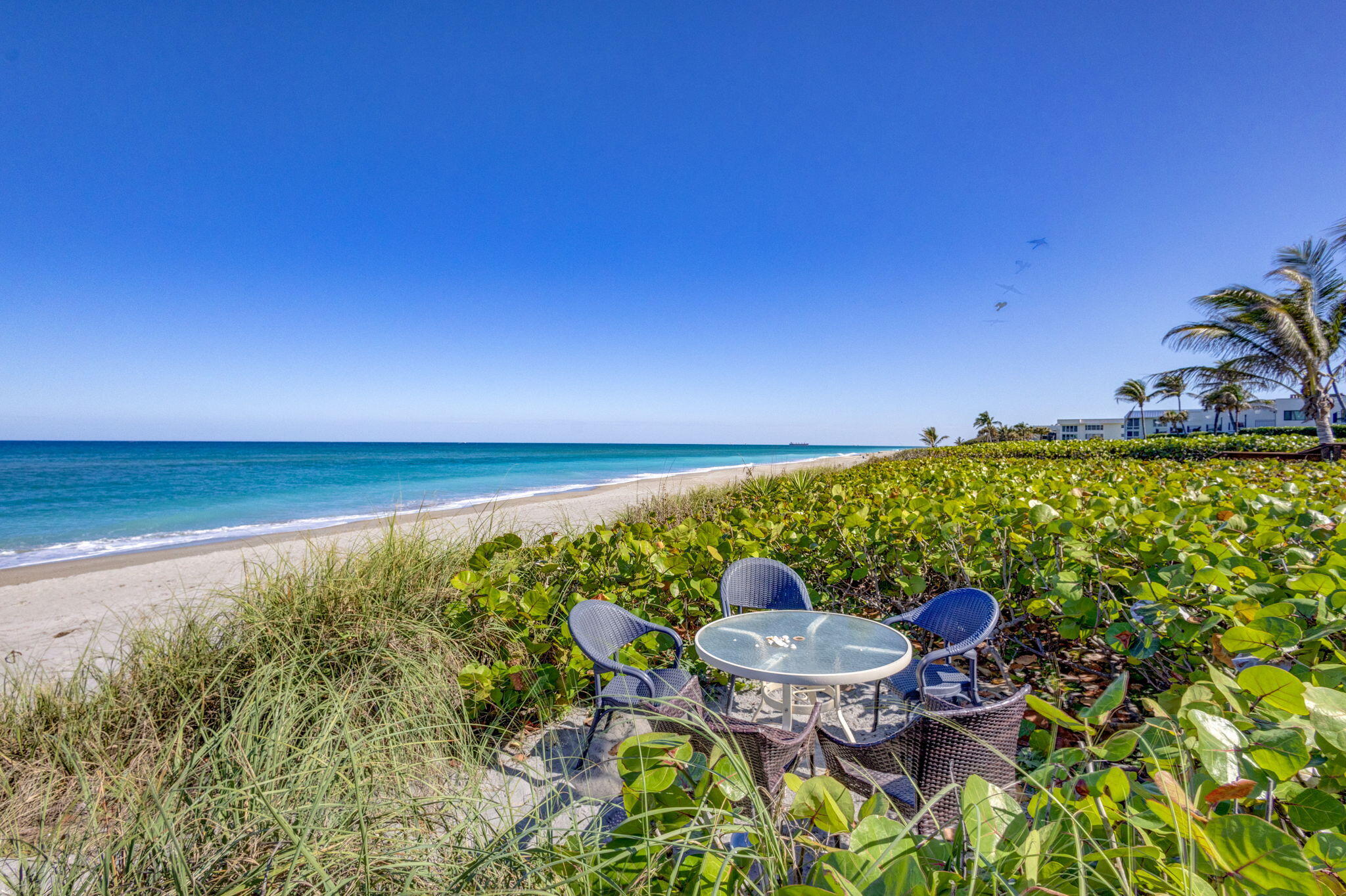 Image to showcase the property located at 240 Celestial Way 5