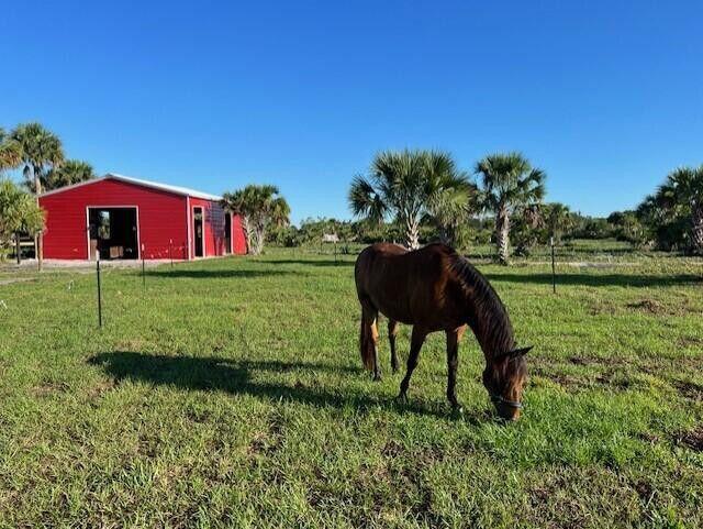 Cabbage Woods Ranches