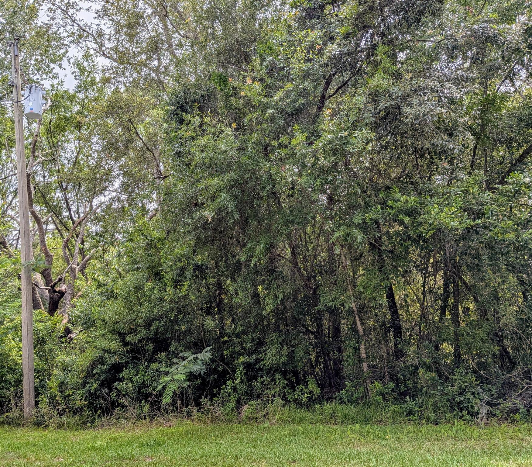 Citrus Springs Unit 04