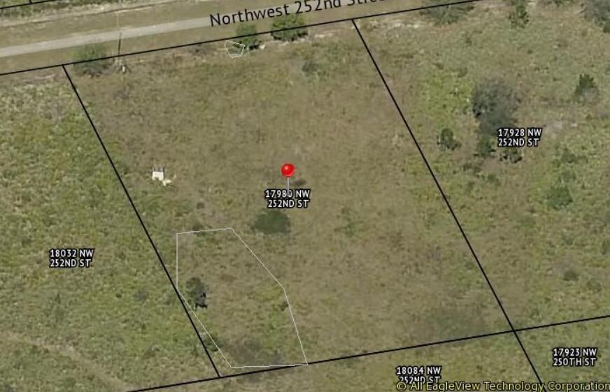 The Southern Colonization