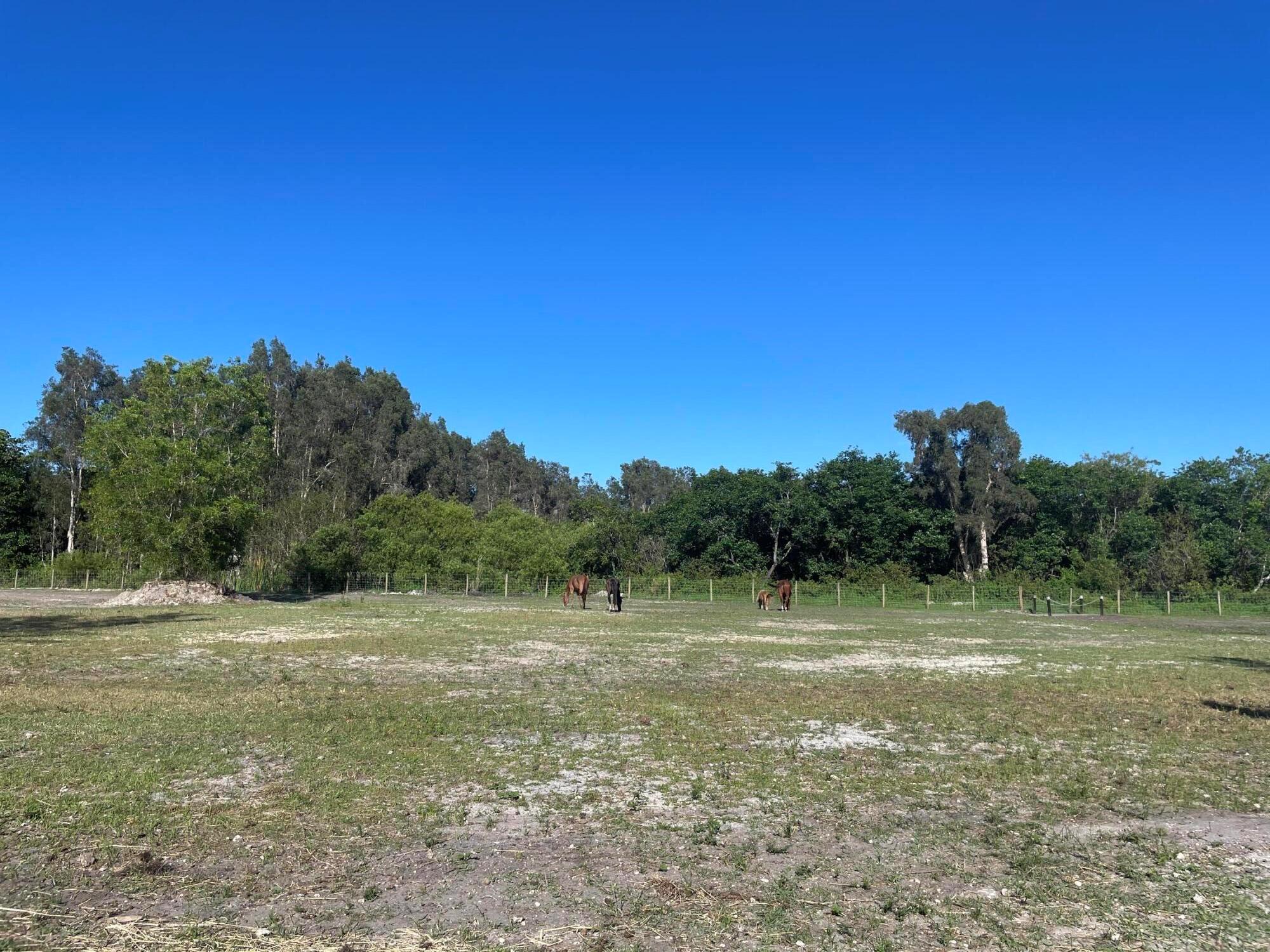 12398 Tangerine Boulevard, West Palm Beach, Florida 33412