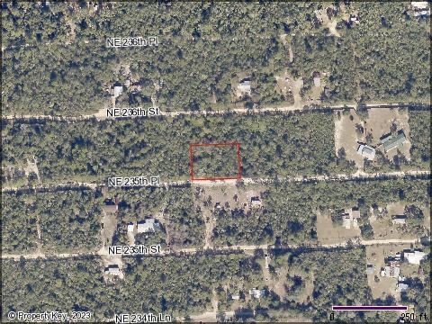 000 NE 235th Place, Fort Mc Coy, FL 32134