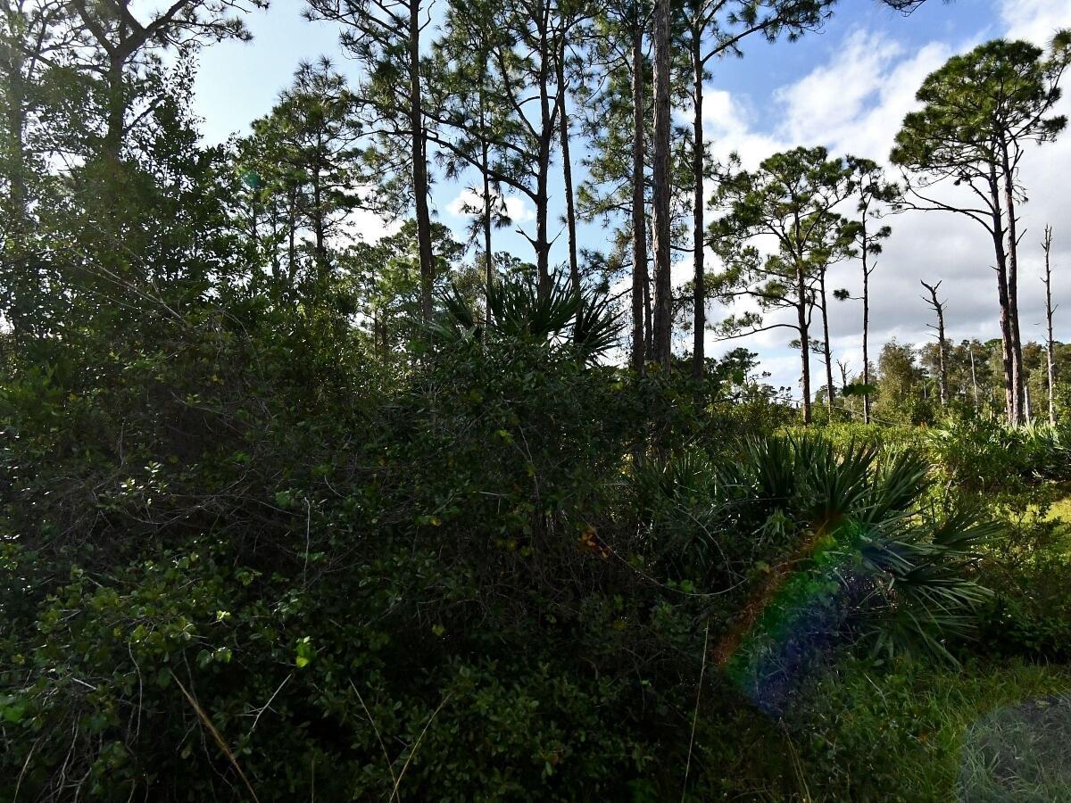 0 Tree Top Trail, Fort Pierce, FL 
