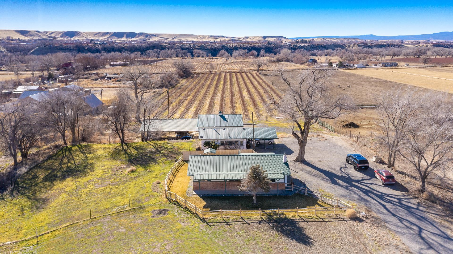 Nestled in the heart of Colorado's wine country, this unique property offers an exceptional blend of comfort, convenience, and investment potential.  The main residence is a charming 3-bedroom, 2-bathroom home, beautifully combining rustic charm with modern amenities. Currently operating as a successful VRBO with bookings already secured, this home generates approximately $30,000 annually. Whether you continue the vacation rental or transform it into your private oasis, the choice is yours. Plus, furniture is included if desired by the buyer.  Adjacent to the main house is a spacious 1-bedroom guest house with a large rec room, ideal for accommodating visiting family and friends or generating additional rental income. Fun amenities include a full-size pool table and a relaxing sauna!  For those with hobbies or storage needs, the 48x36 shop offers endless possibilities. Perfect for car enthusiasts, woodworkers, or extra storage, this versatile building is currently leased, adding another income stream to this property’s portfolio.  Outside, you’ll find the crown jewel: a professionally maintained peach orchard. A profit-share lease with Talbott's Farm offers a 60/40 profit share, and additional trees are scheduled to be planted at the front of the property soon, enhancing this already beautiful landscape.  With a prime location, versatile amenities, and strong income potential, this property is a rare find. Whether you're seeking an investment opportunity or a peaceful retreat to call home, don’t miss your chance to make this Palisade paradise yours.  Buyer to verify all information to their satisfaction.