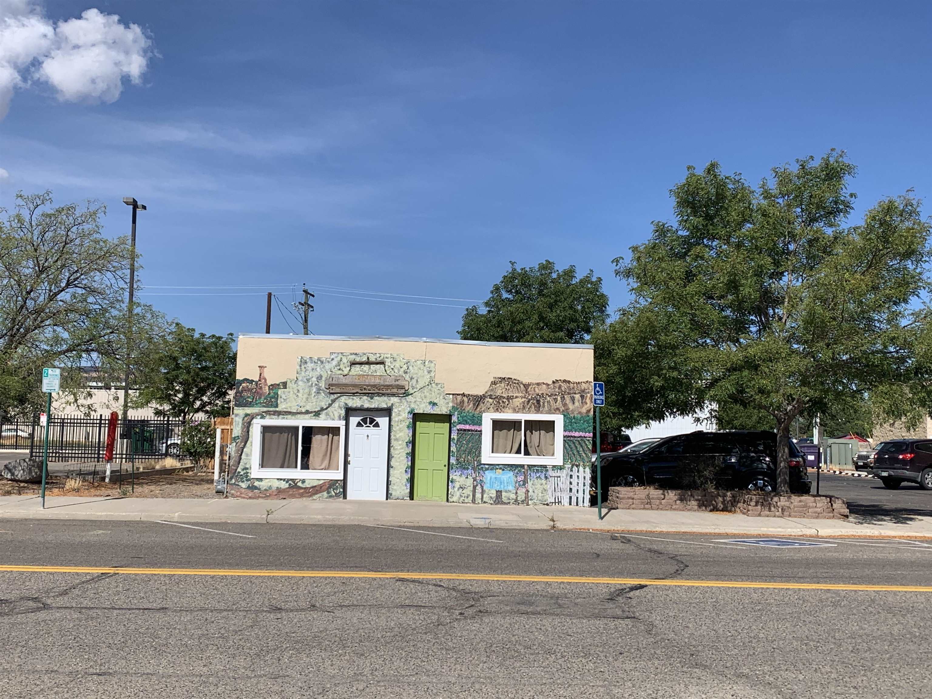 141 S Mesa Avenue, Fruita, CO 