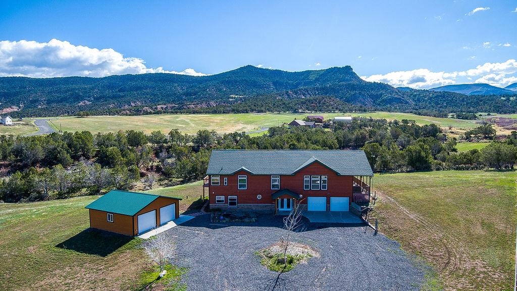 14250 S Ouray Court, Collbran, CO 81624