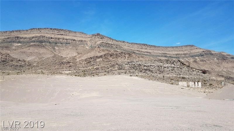 Beatty, Nevada 89003, ,Land,For Sale,NV 267,2396739