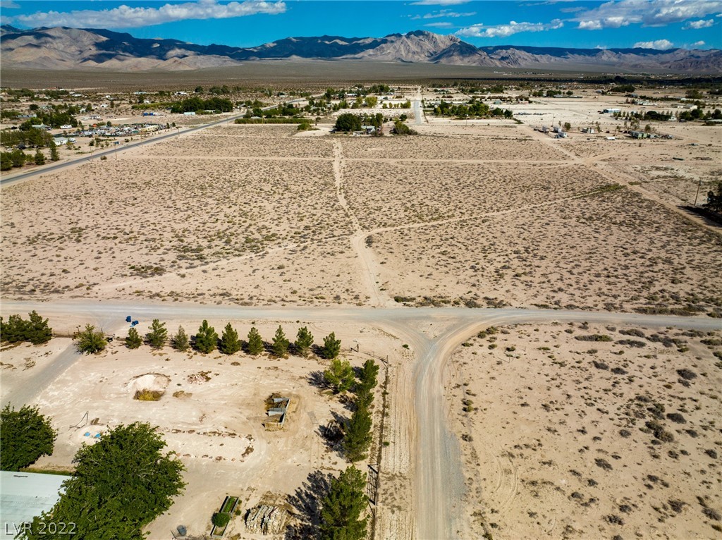  Marble Ave Sandy Valley, NV 89019 - Photo 29