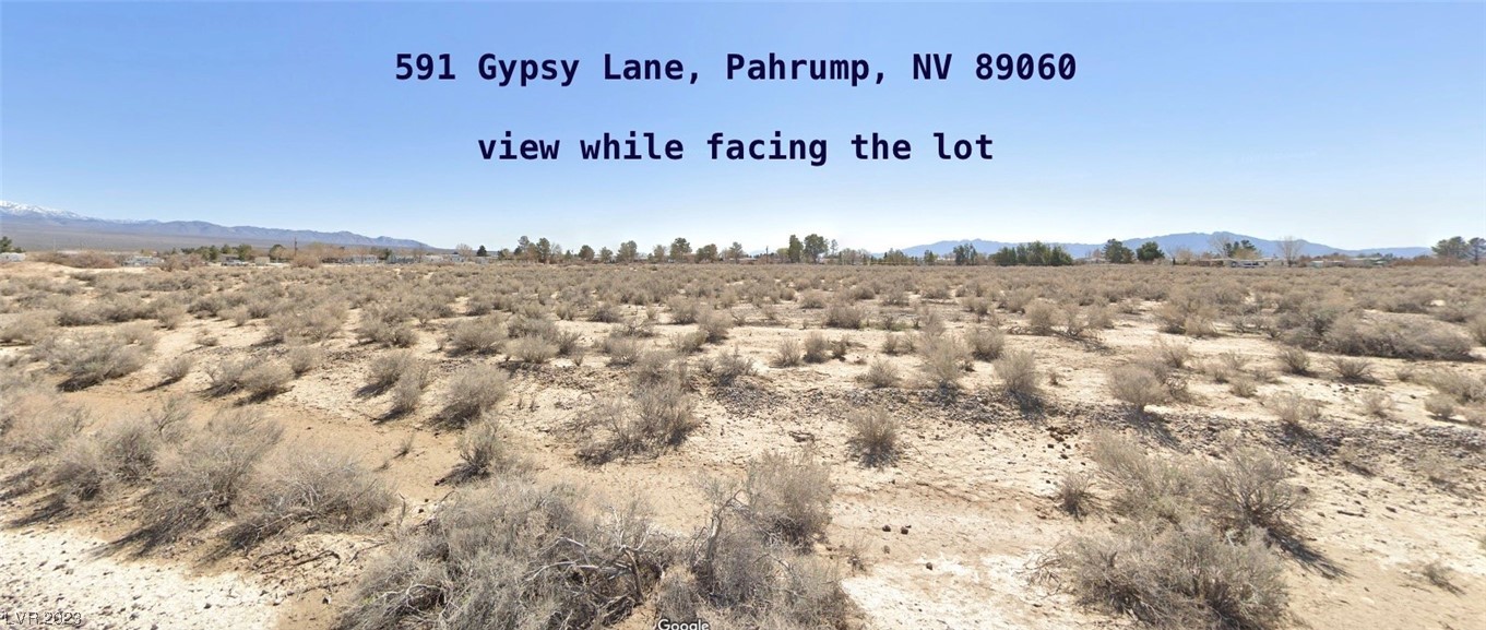591 W Gypsy Lane Pahrump NV 89060