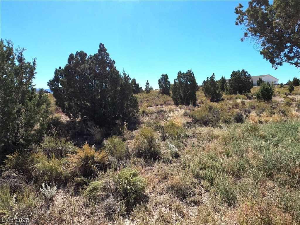 P-C10 Mineral Drive, Ely, NV 89301