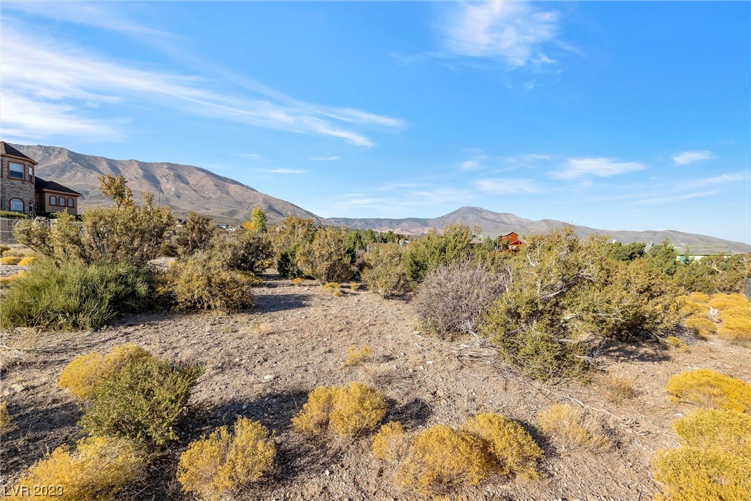 Land,For Sale,3 Camp Bonanza APN# 096-06-210-030, Las Vegas, Nevada 89124,20,909 Sqft,Price $99,999