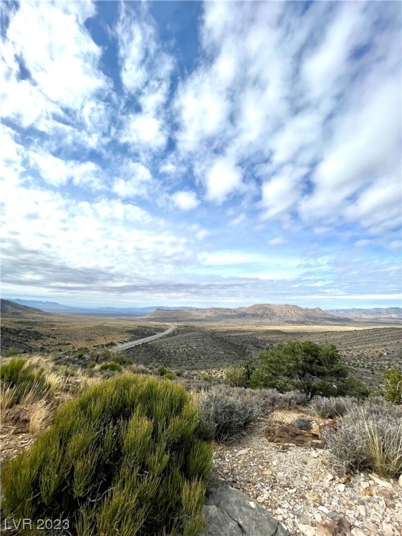19502 State Hwy 160 Mountain Springs, NV 89161 - Photo 24