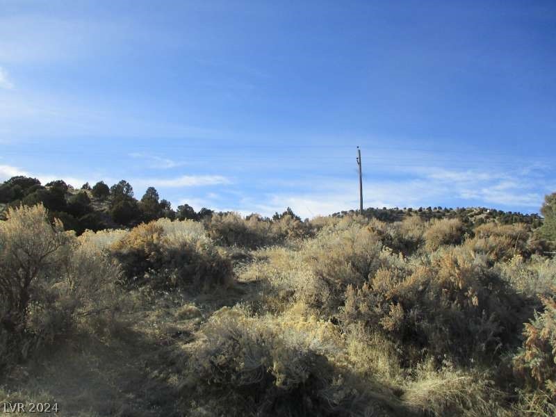 Nevada Hwy 322 (2.46 Ac) Pioche, NV 89043 - Photo 5