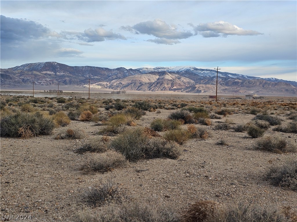 80 Mountain Water Ranch Ave Dyer, NV 89010 - Photo 4