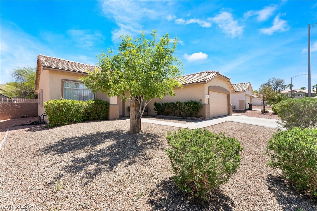 310 Sweetspice St Henderson, NV 89014 - Photo 4
