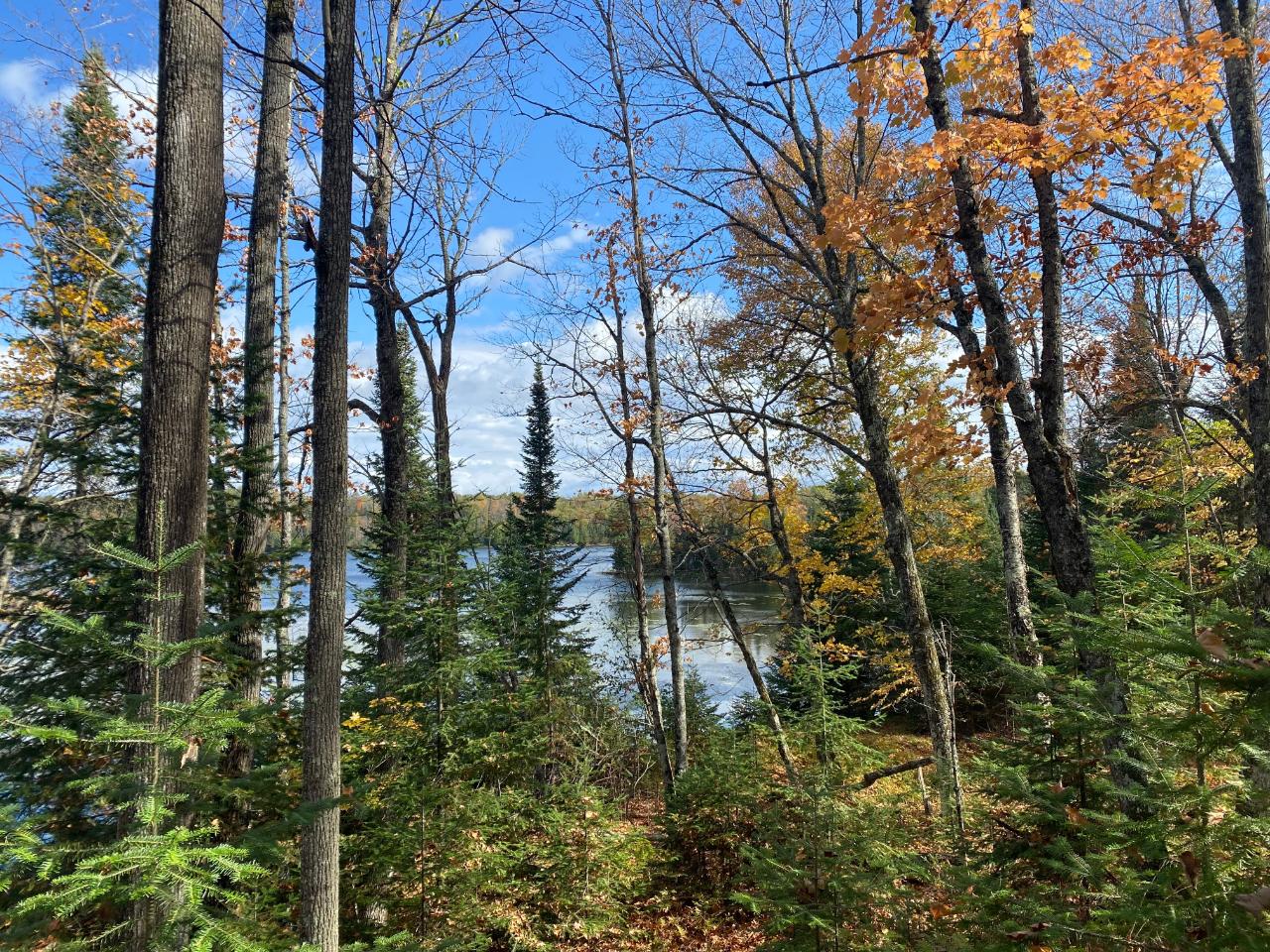 Picture 6 - Little Horsehead Lake Property 204155