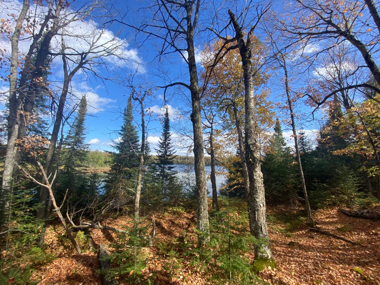 Picture 3 - Little Horsehead Lake Property 204155