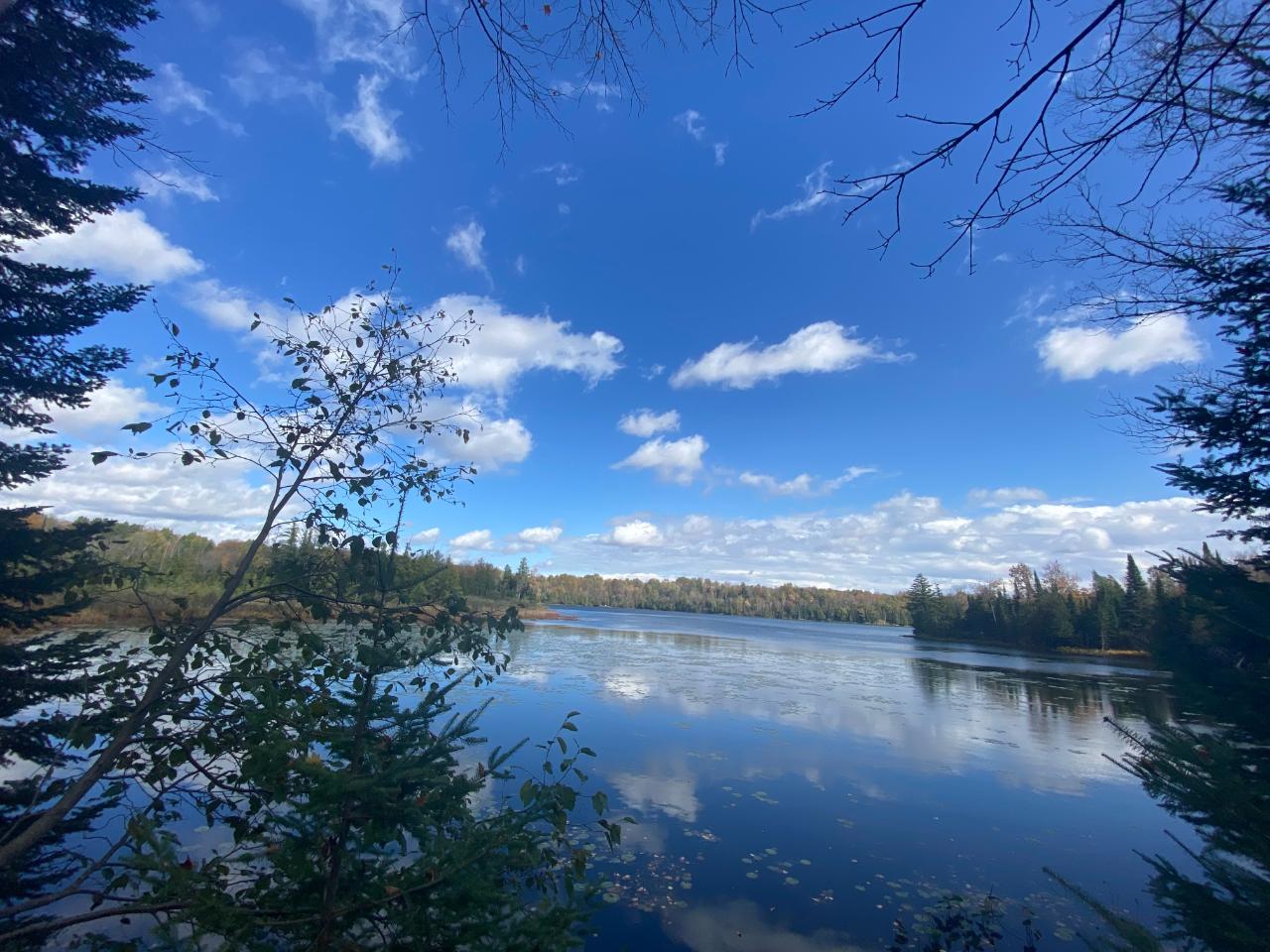 Picture 1 - Little Horsehead Lake Property 204155