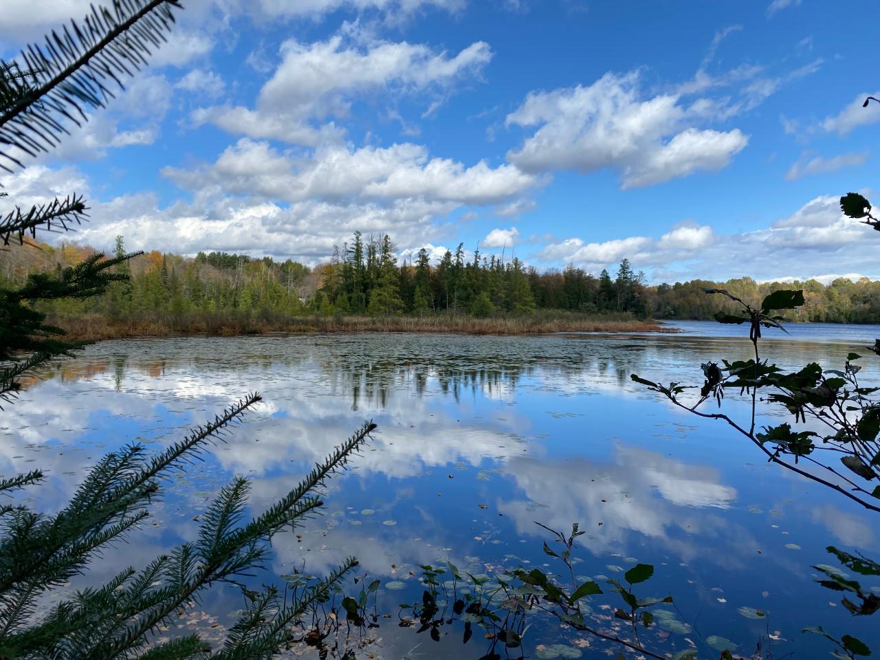 Picture 14 - Little Horsehead Lake Property 204155