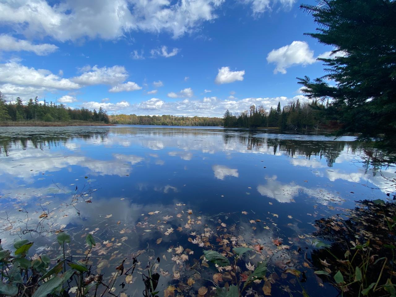 Picture 13 - Little Horsehead Lake Property 204155