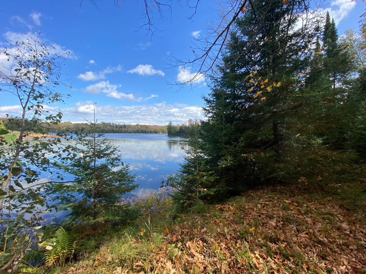 Picture 12 - Little Horsehead Lake Property 204155