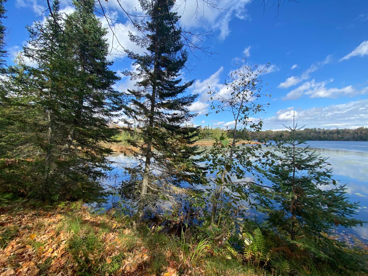 Picture 10 - Little Horsehead Lake Property 204155