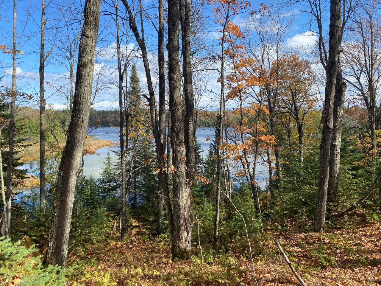 Picture 8 - Little Horsehead Lake Property 204155