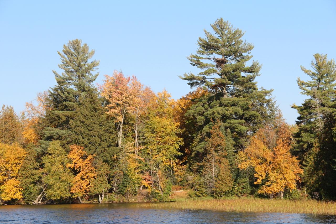 Picture 21 - Undocumented Lake Property 205715