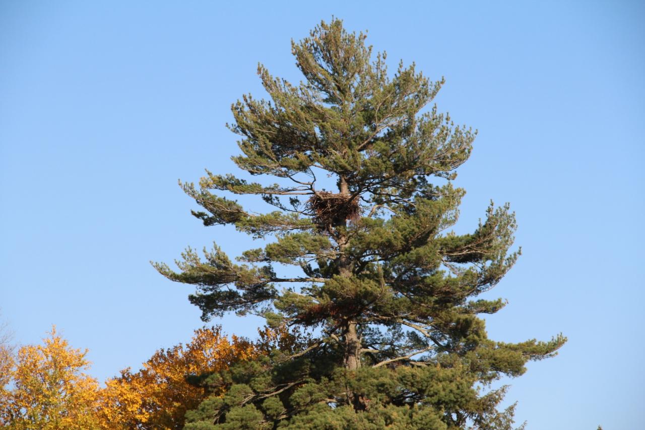 Picture 20 - Undocumented Lake Property 205715