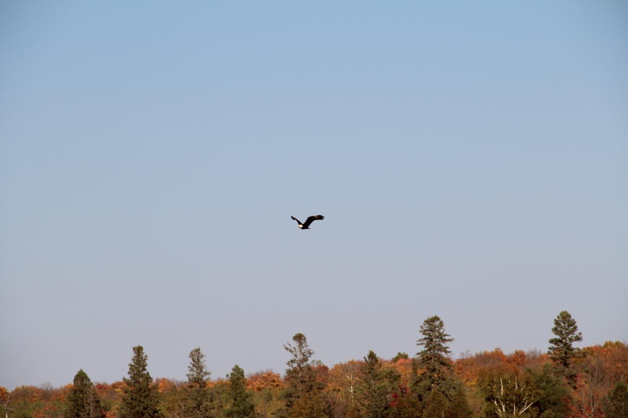 Picture 18 - Undocumented Lake Property 205715