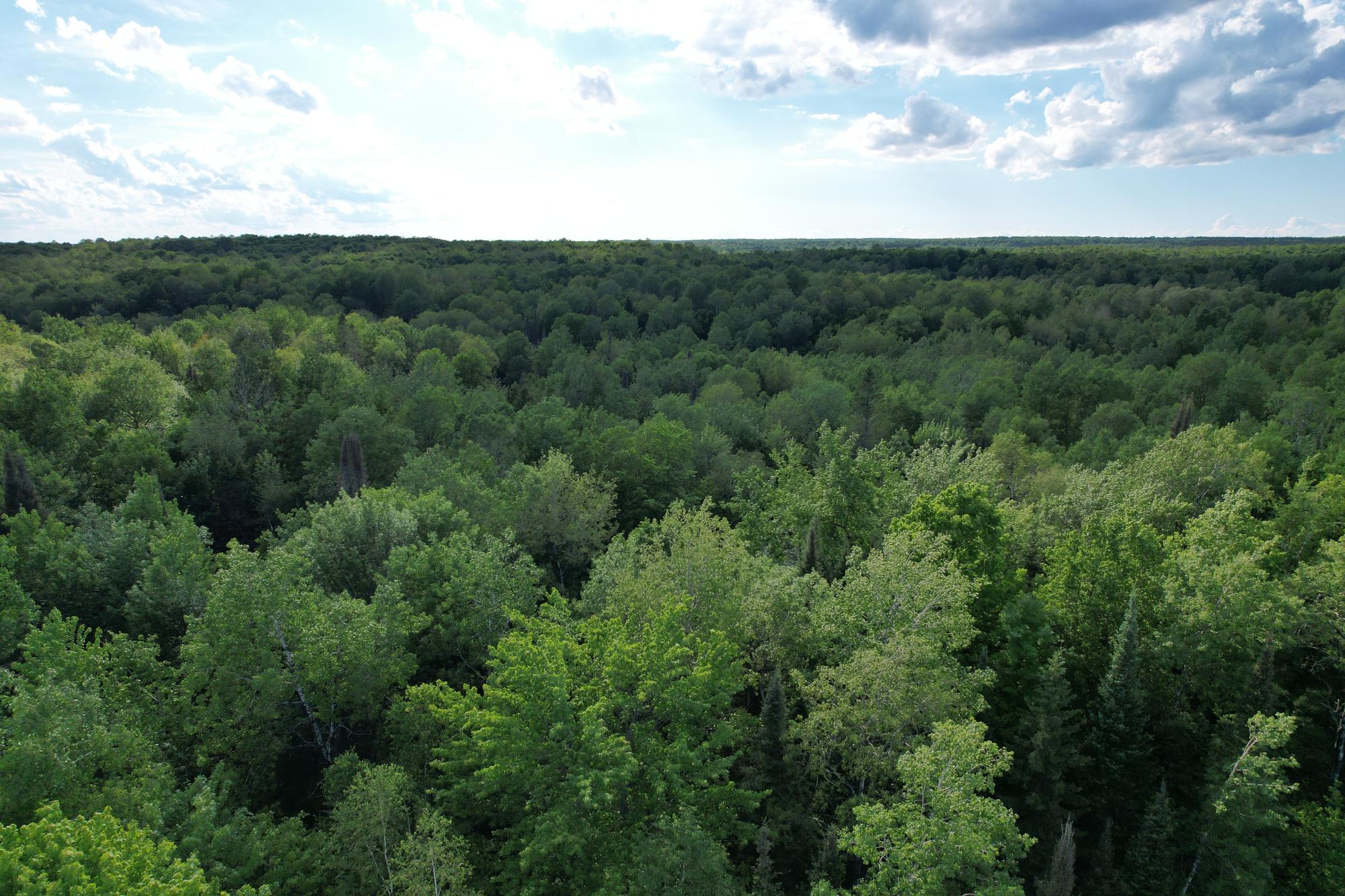 Picture 56 - Undocumented Lake Property 206023