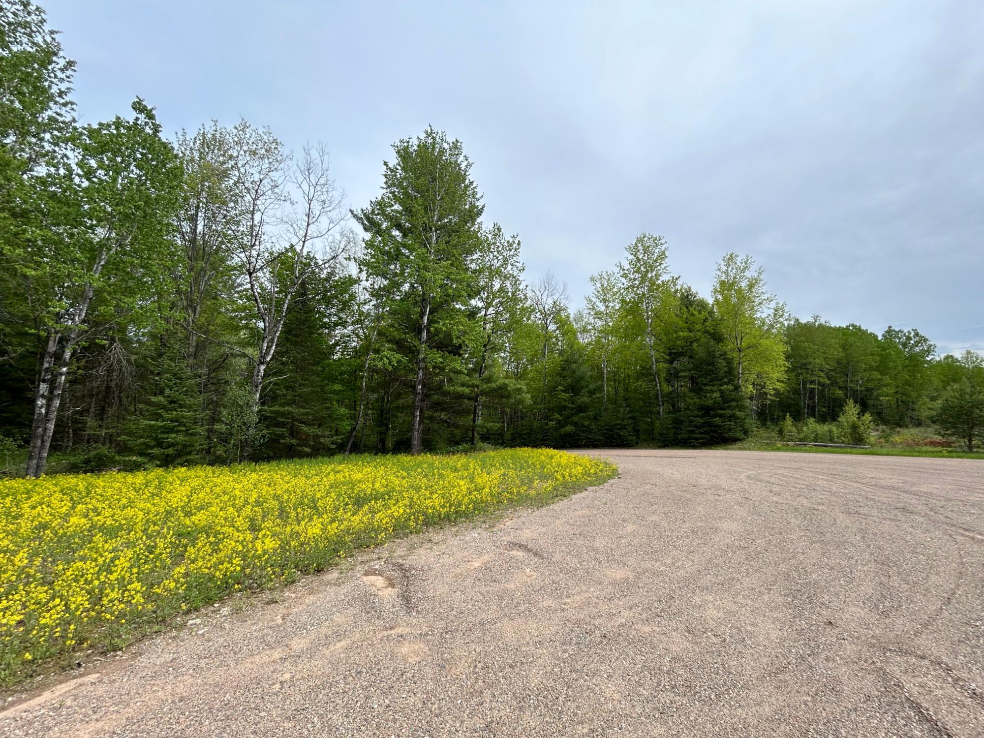 Picture 40 - Undocumented Lake Property 206023