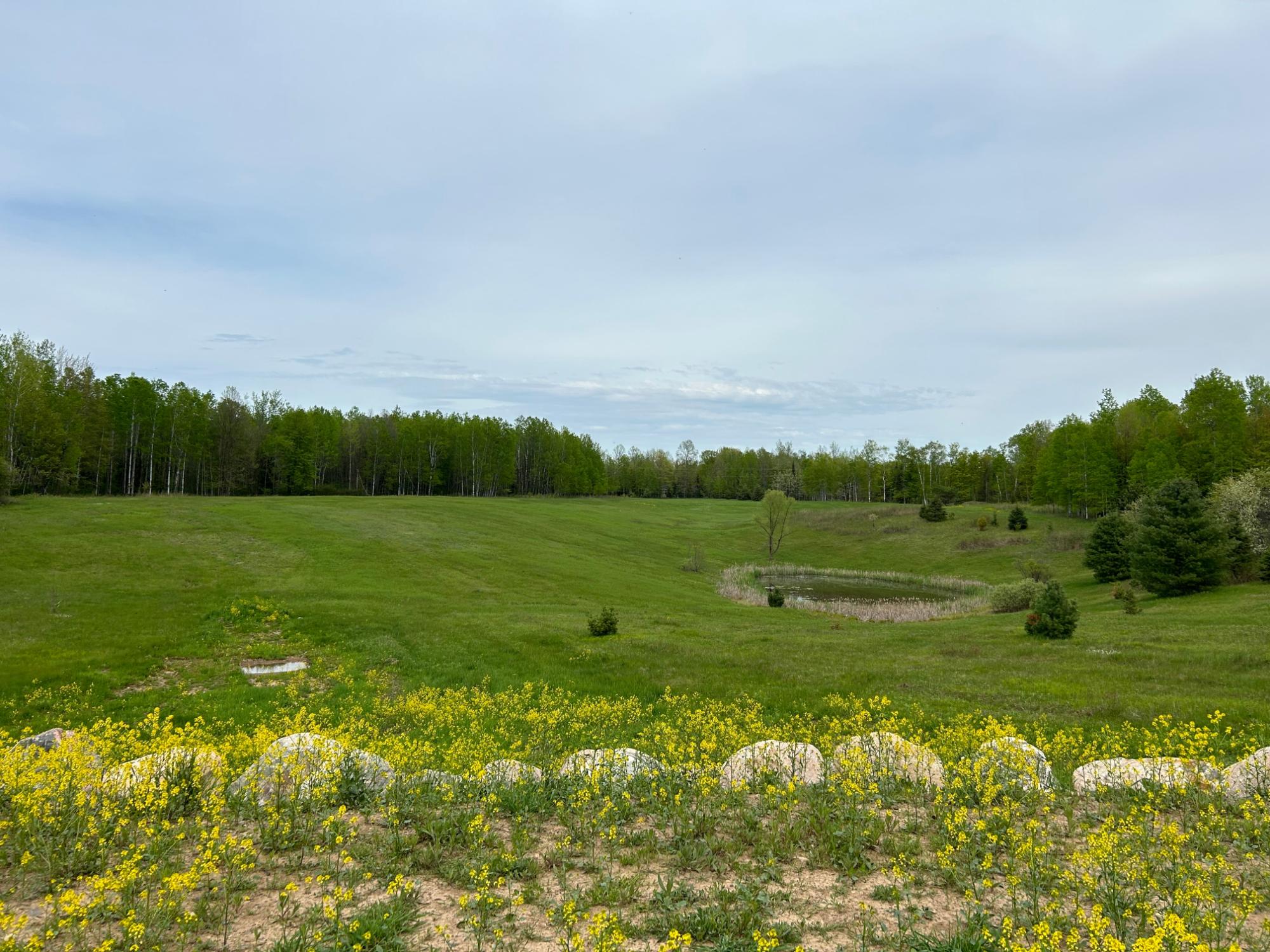 Picture 39 - Undocumented Lake Property 206023