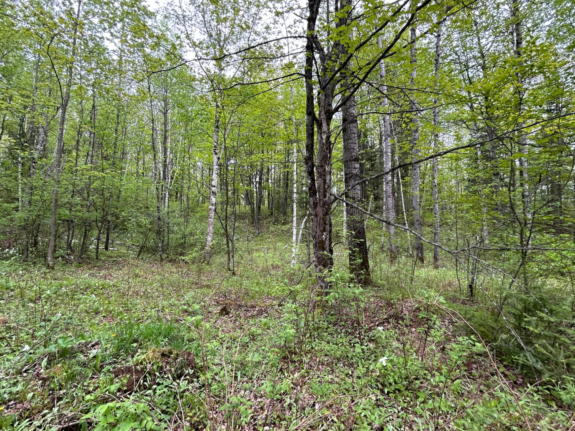 Picture 35 - Undocumented Lake Property 206023