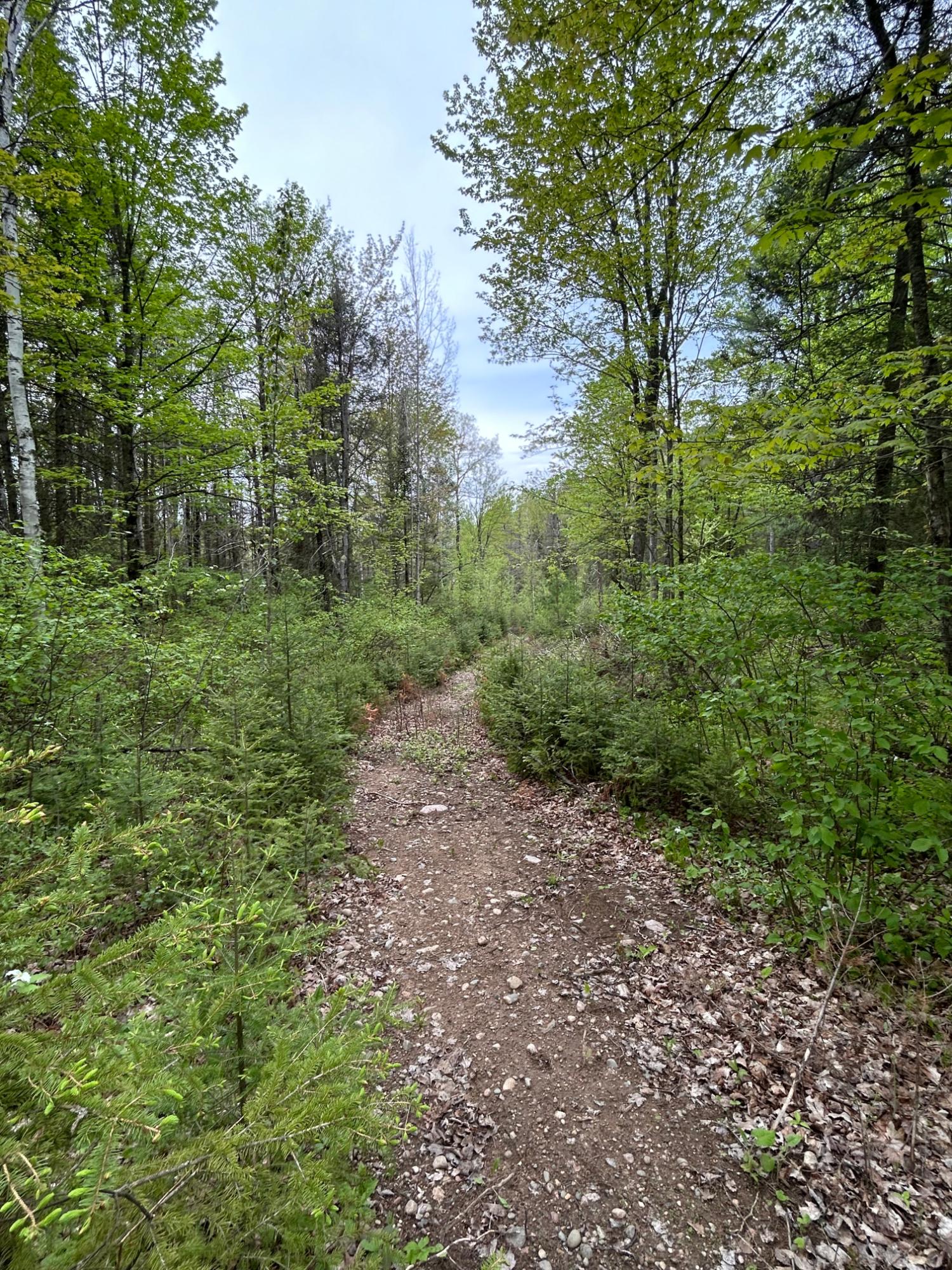 Picture 34 - Undocumented Lake Property 206023