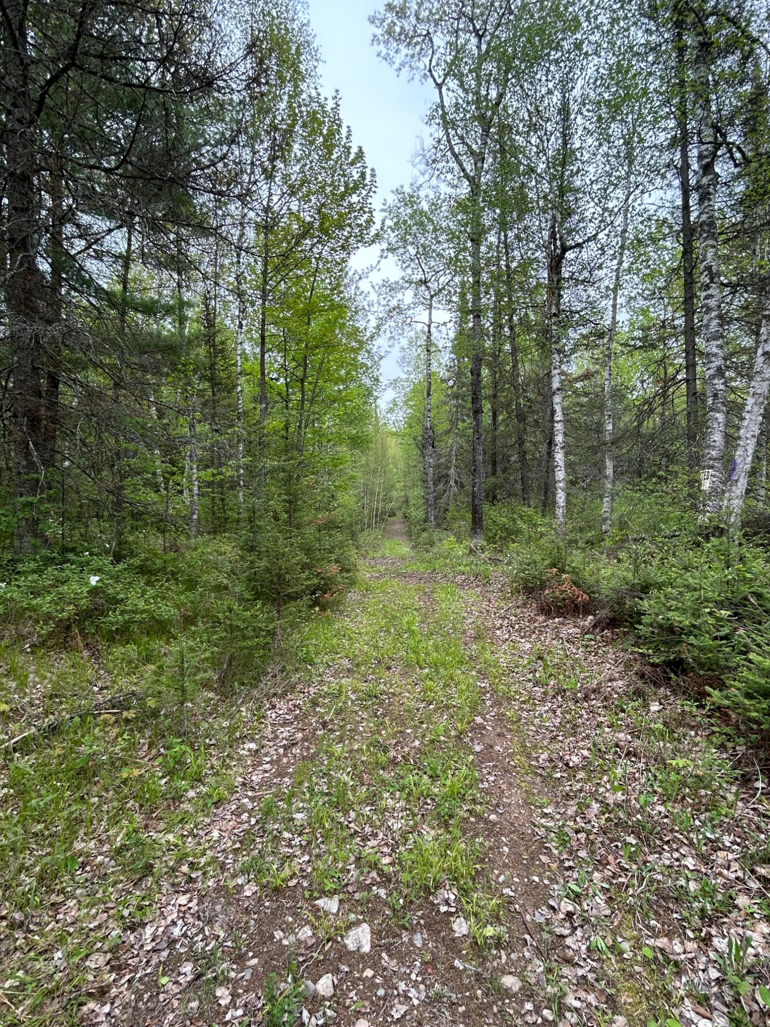 Picture 32 - Undocumented Lake Property 206023