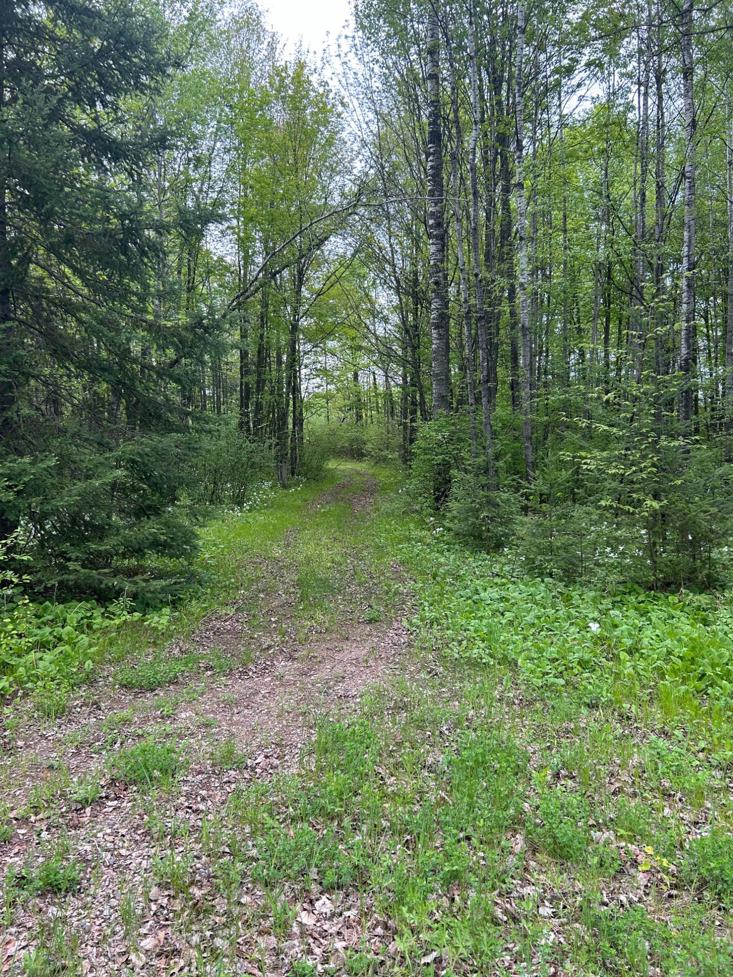 Picture 30 - Undocumented Lake Property 206023