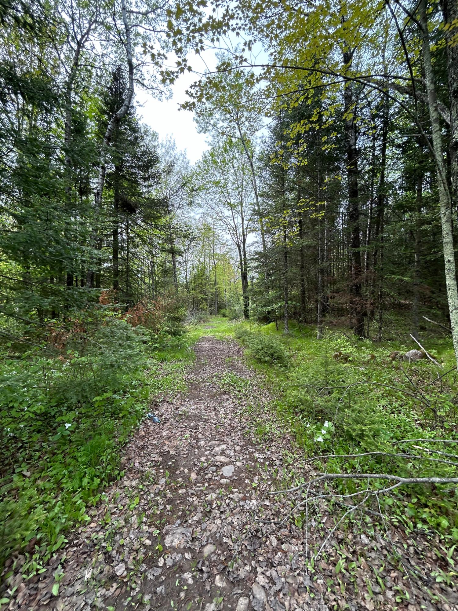 Picture 27 - Undocumented Lake Property 206023