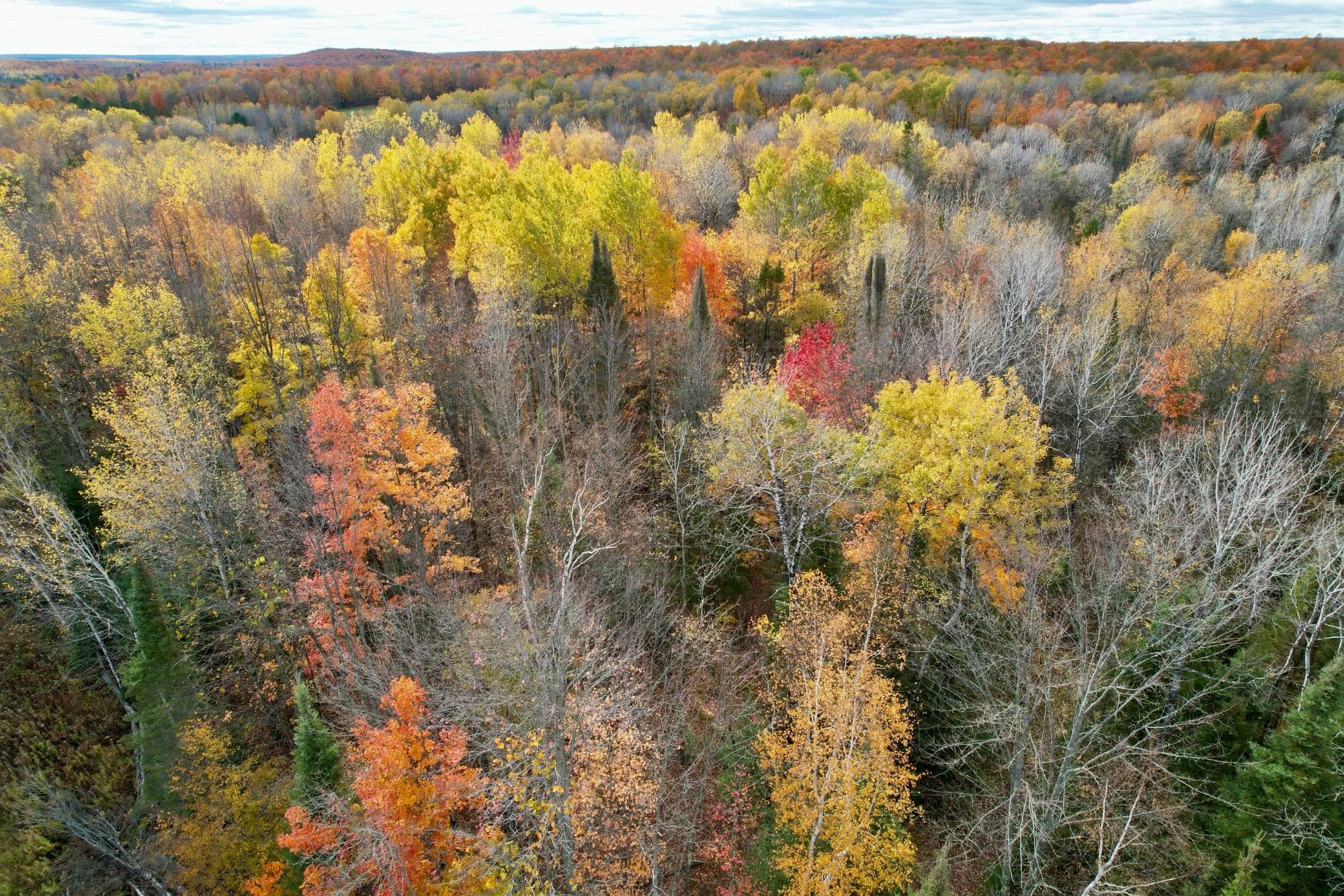 Picture 13 - Undocumented Lake Property 206023