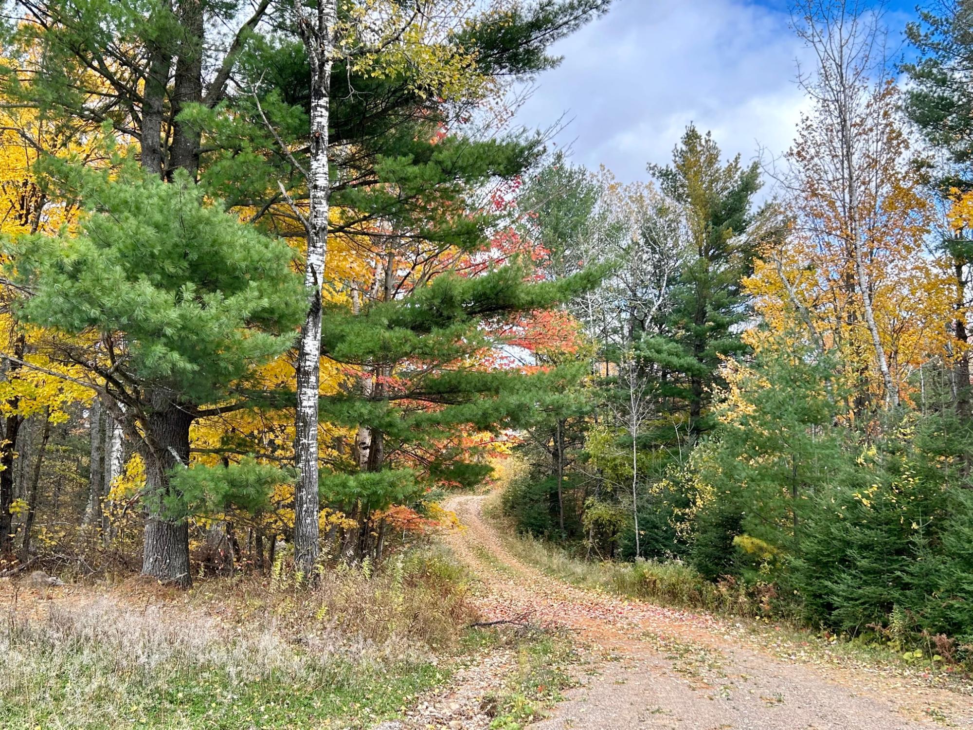 Picture 9 - Undocumented Lake Property 206023