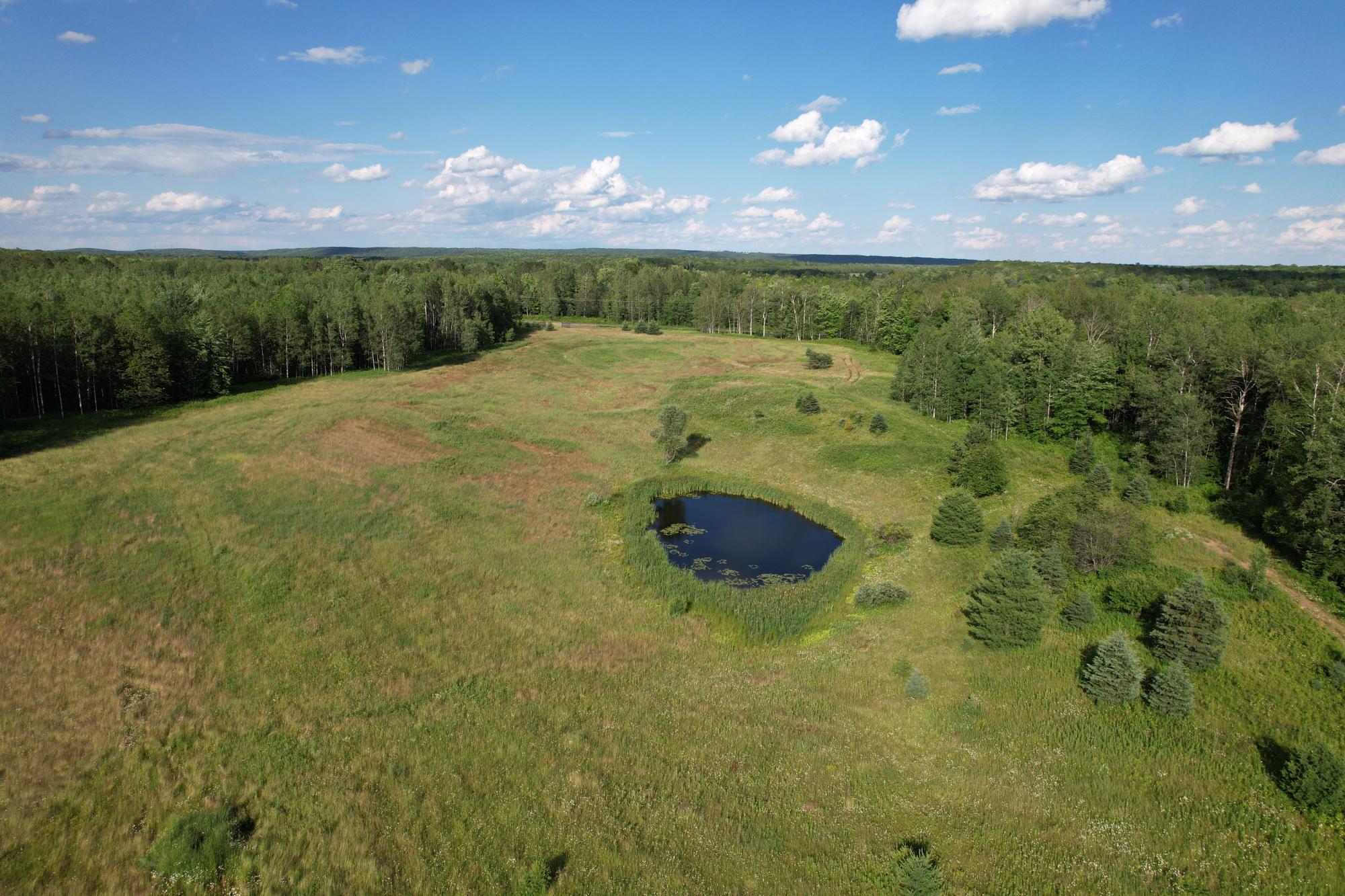 Picture 59 - Undocumented Lake Property 206023