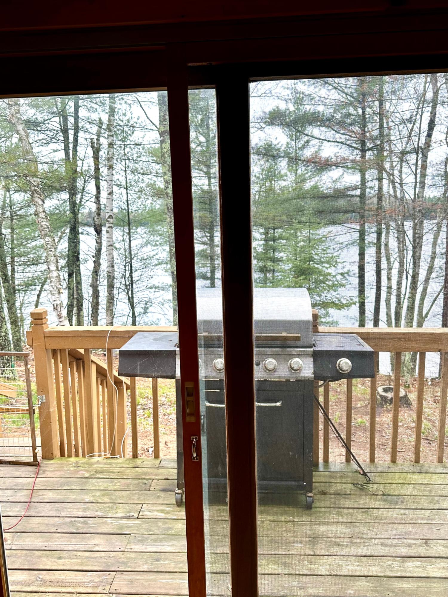 Picture 58 - McCormick Lake Property 206662