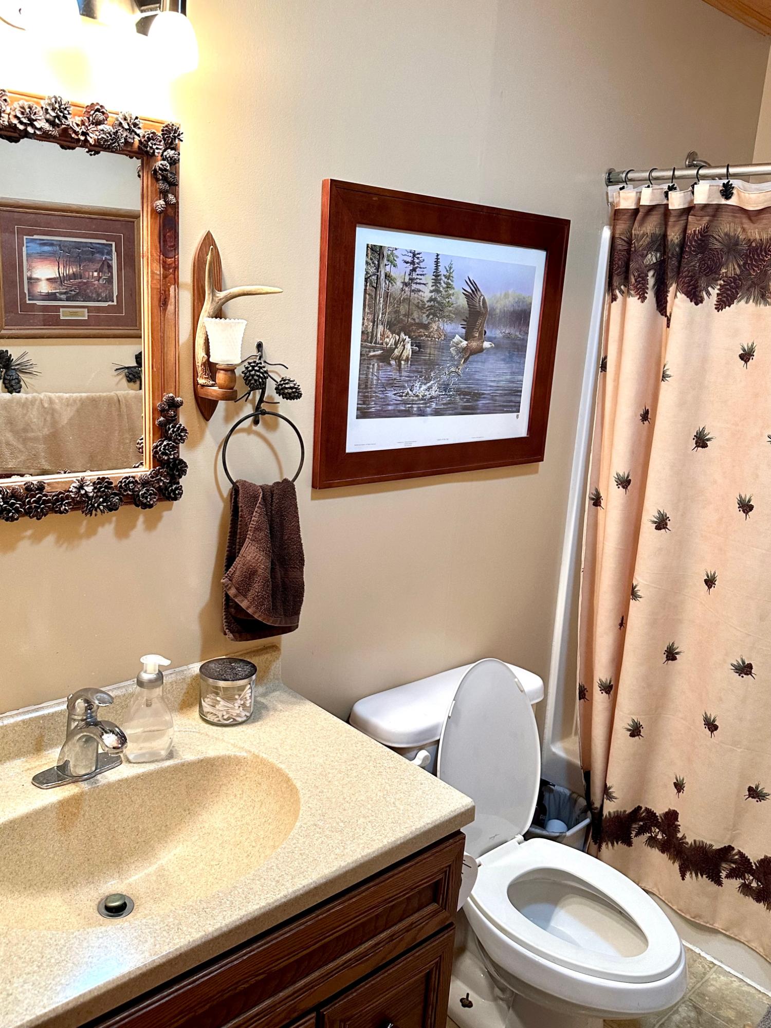 Picture 57 - McCormick Lake Property 206662