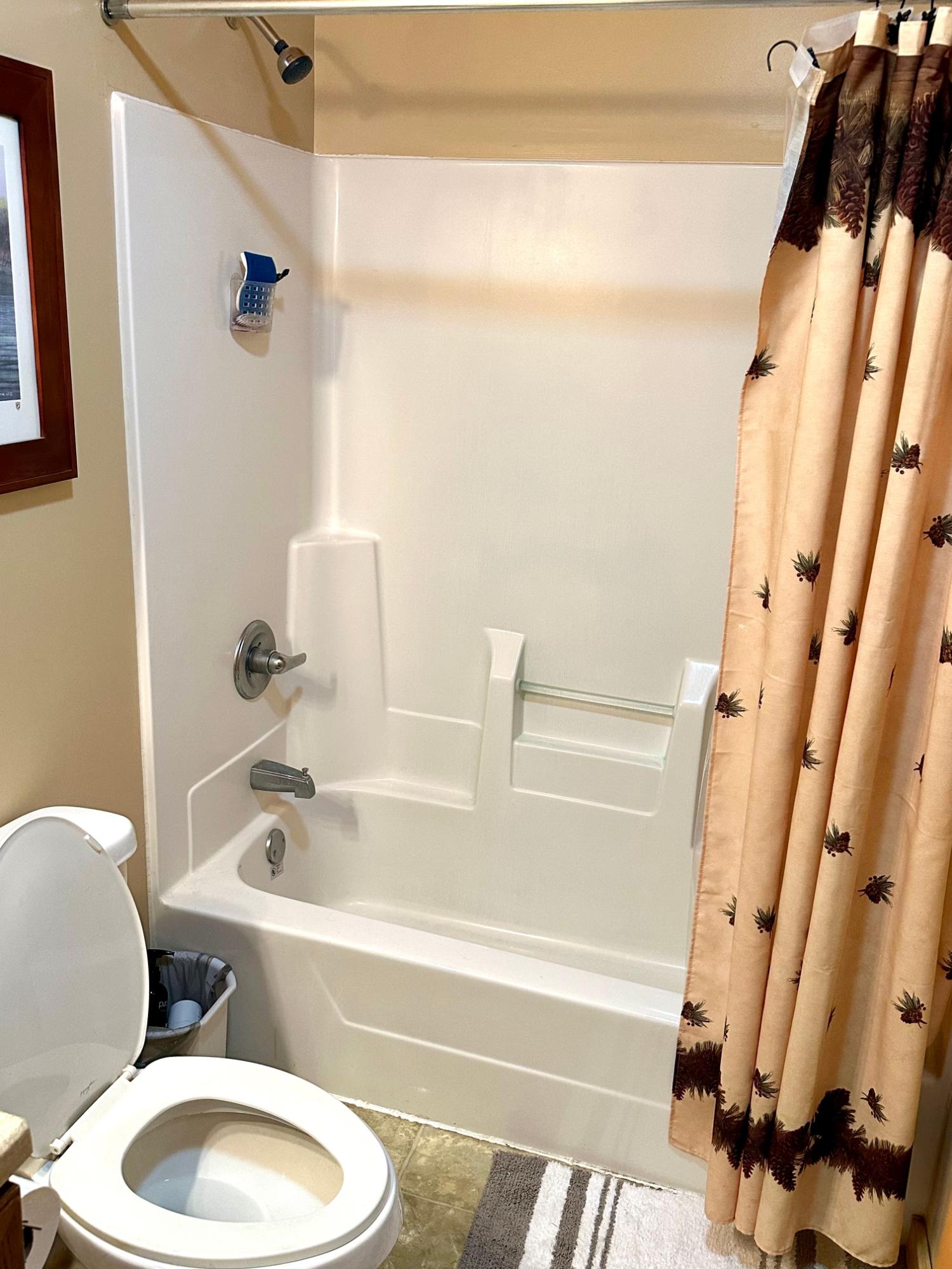 Picture 56 - McCormick Lake Property 206662