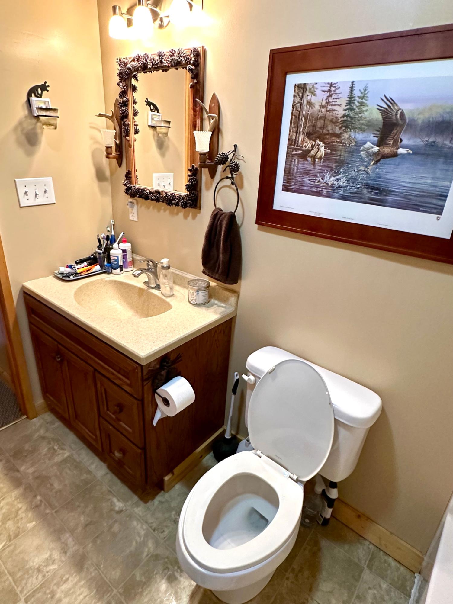 Picture 55 - McCormick Lake Property 206662