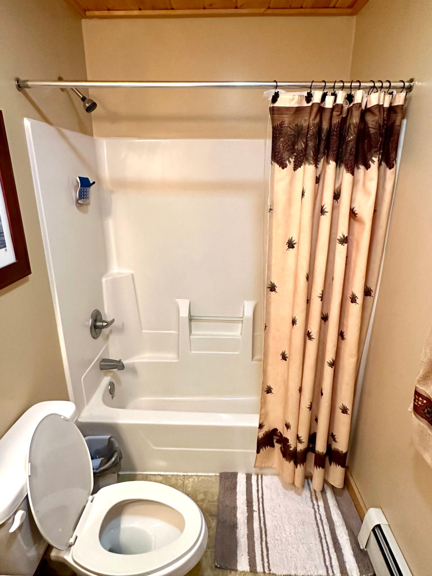 Picture 54 - McCormick Lake Property 206662