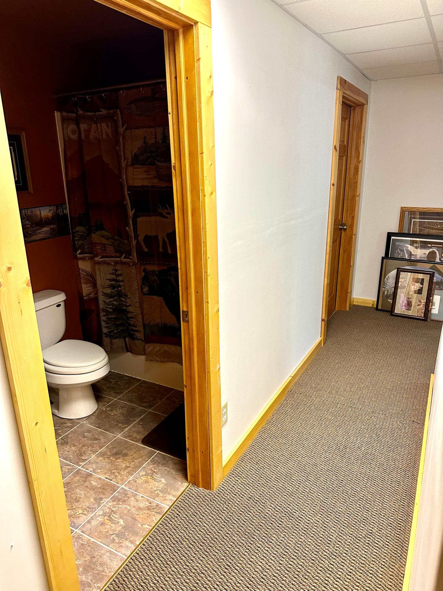 Picture 41 - McCormick Lake Property 206662