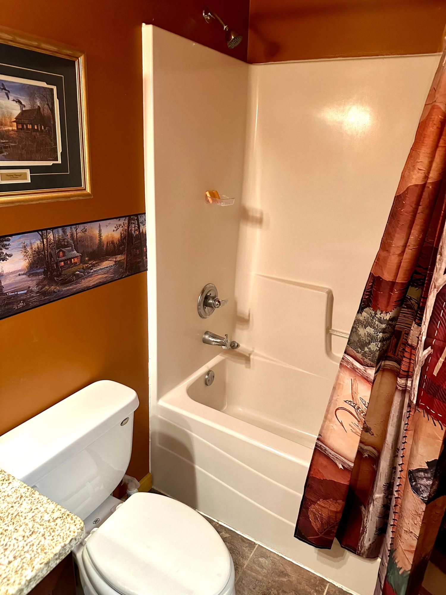 Picture 39 - McCormick Lake Property 206662