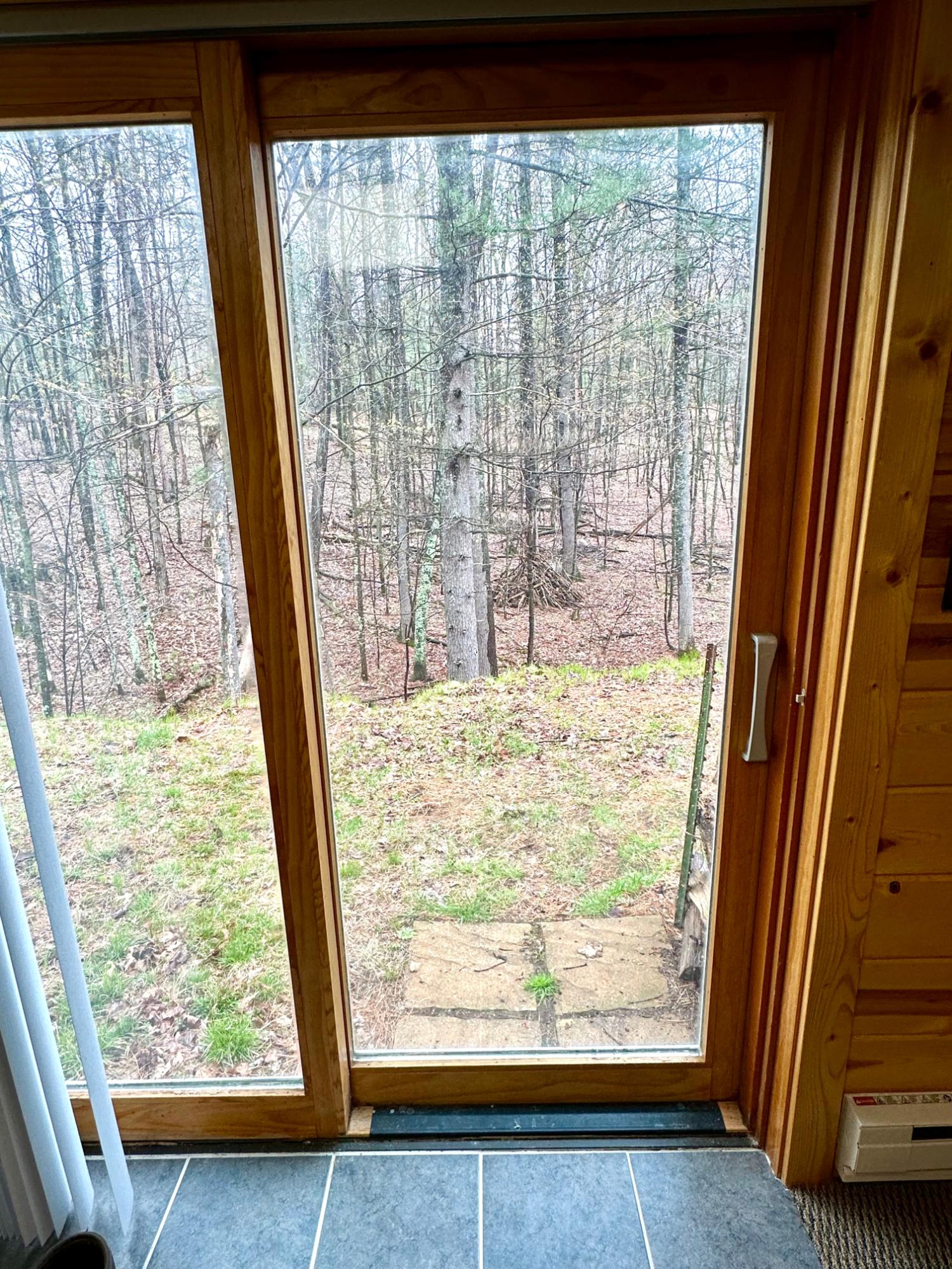 Picture 34 - McCormick Lake Property 206662