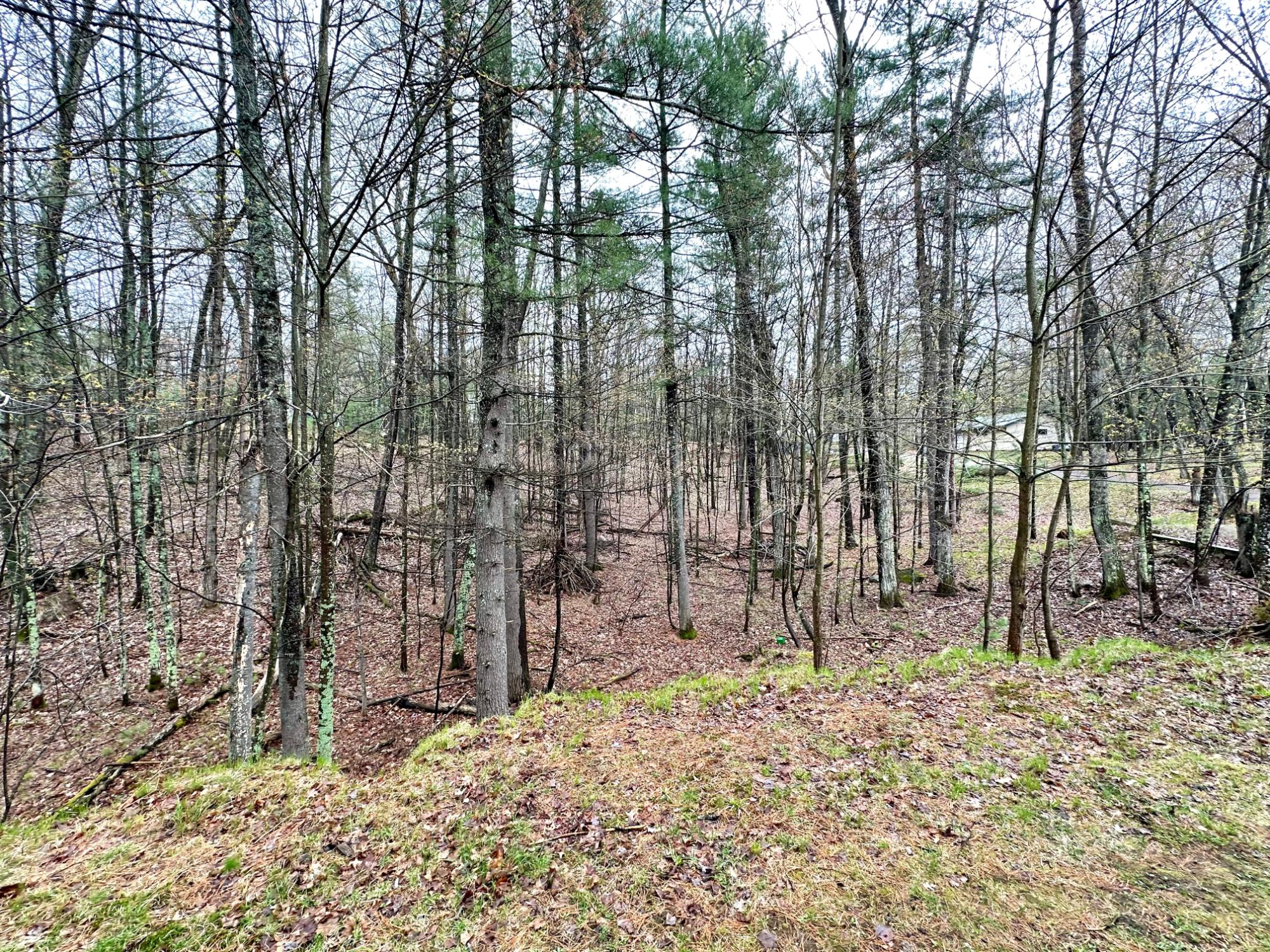 Picture 26 - McCormick Lake Property 206662